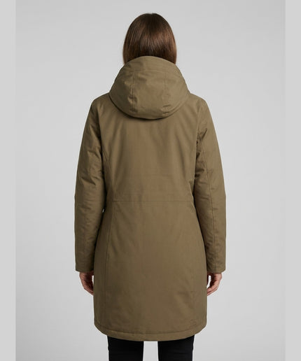 Model Back